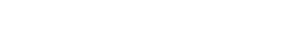 platincasino logo